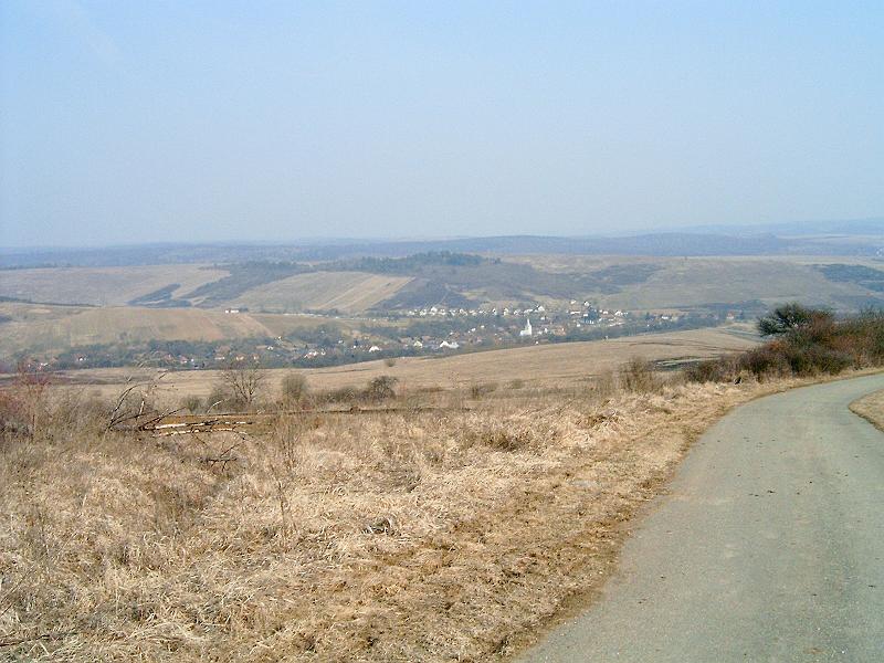 20110312 059.jpg